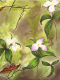 (image for) Three Triilium In The Woods *6 cards