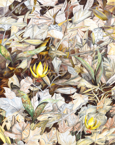 (image for) Out of Winter's Slumber print
