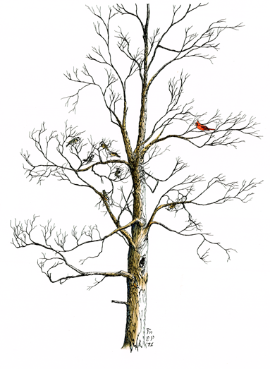 (image for) Winter Solstice Print #19 (small)