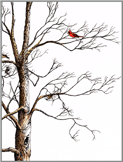 (image for) Cardinal *6 cards - Click Image to Close