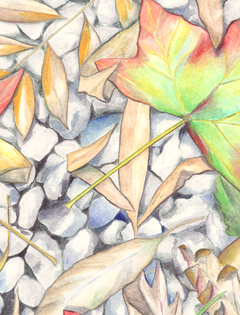 (image for) Fallen Leaves II *6 cards