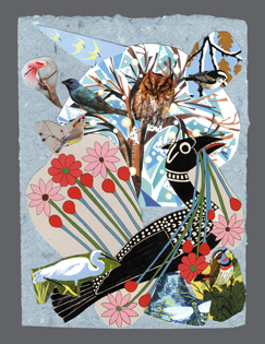 (image for) Enchanted Birds * 6 Cards